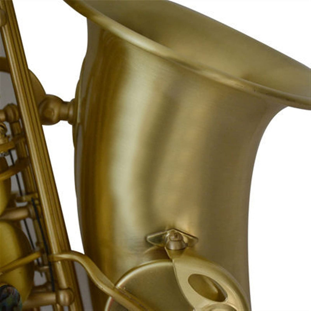 Alto Saxophone in E-Flat Saxophone Set S3185