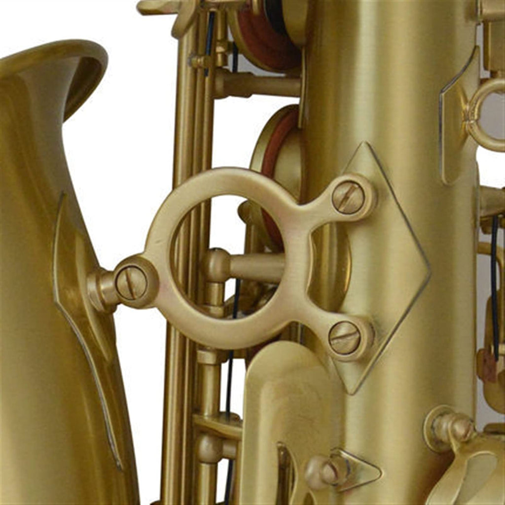 Alto Saxophone in E-Flat Saxophone Set S3185