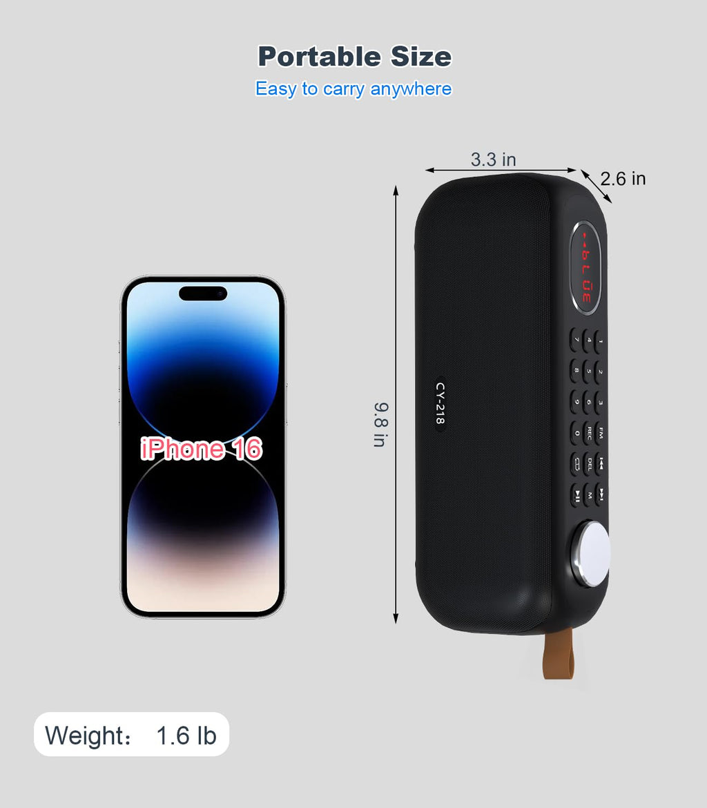 Portable Bluetooth Speaker FM Radio 10W E579
