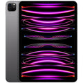 2022 iPad Pro 12.9-inch Wi-Fi + Cellular 256GB Space Gray J6228