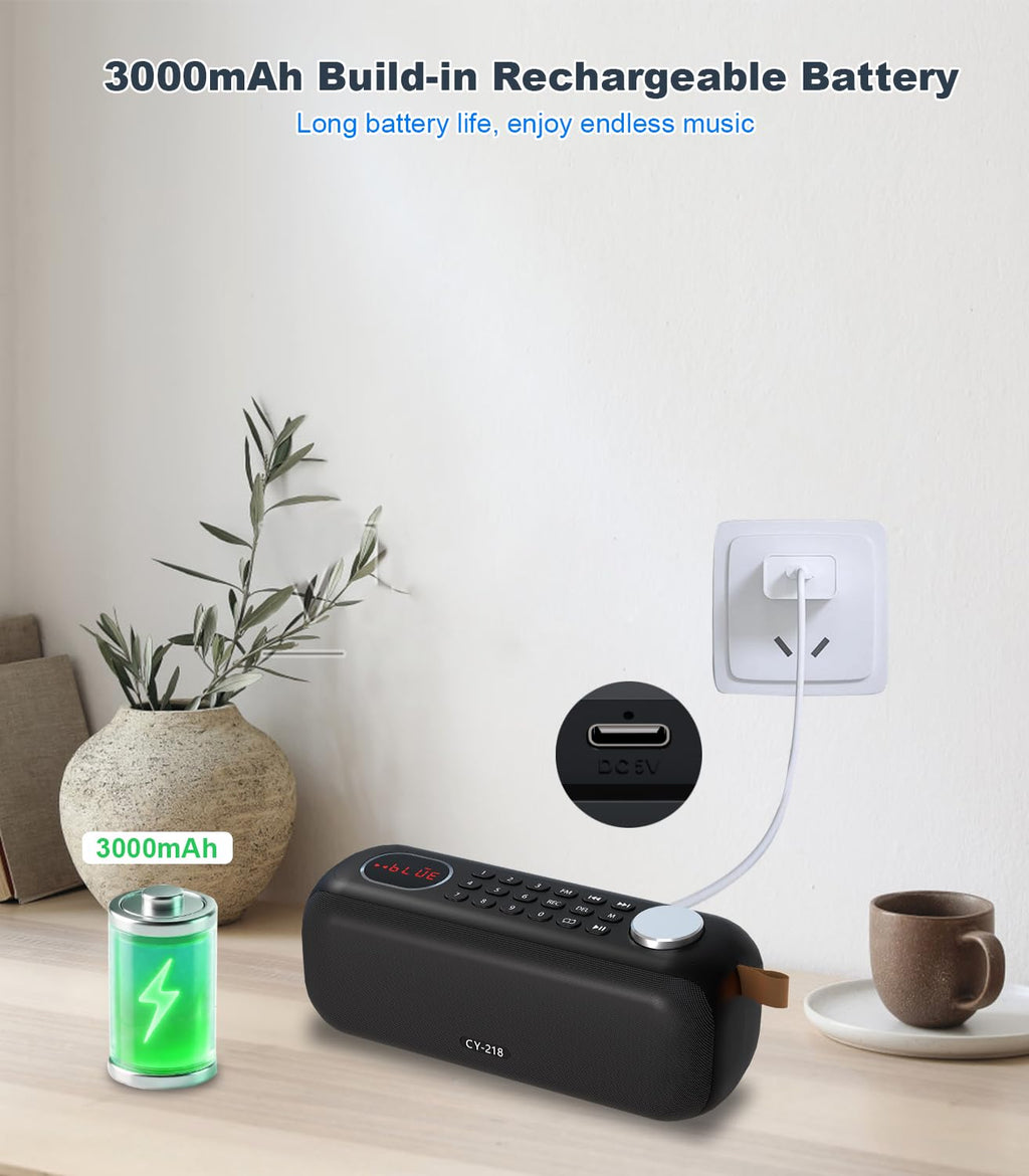 Portable Bluetooth Speaker FM Radio 10W E579