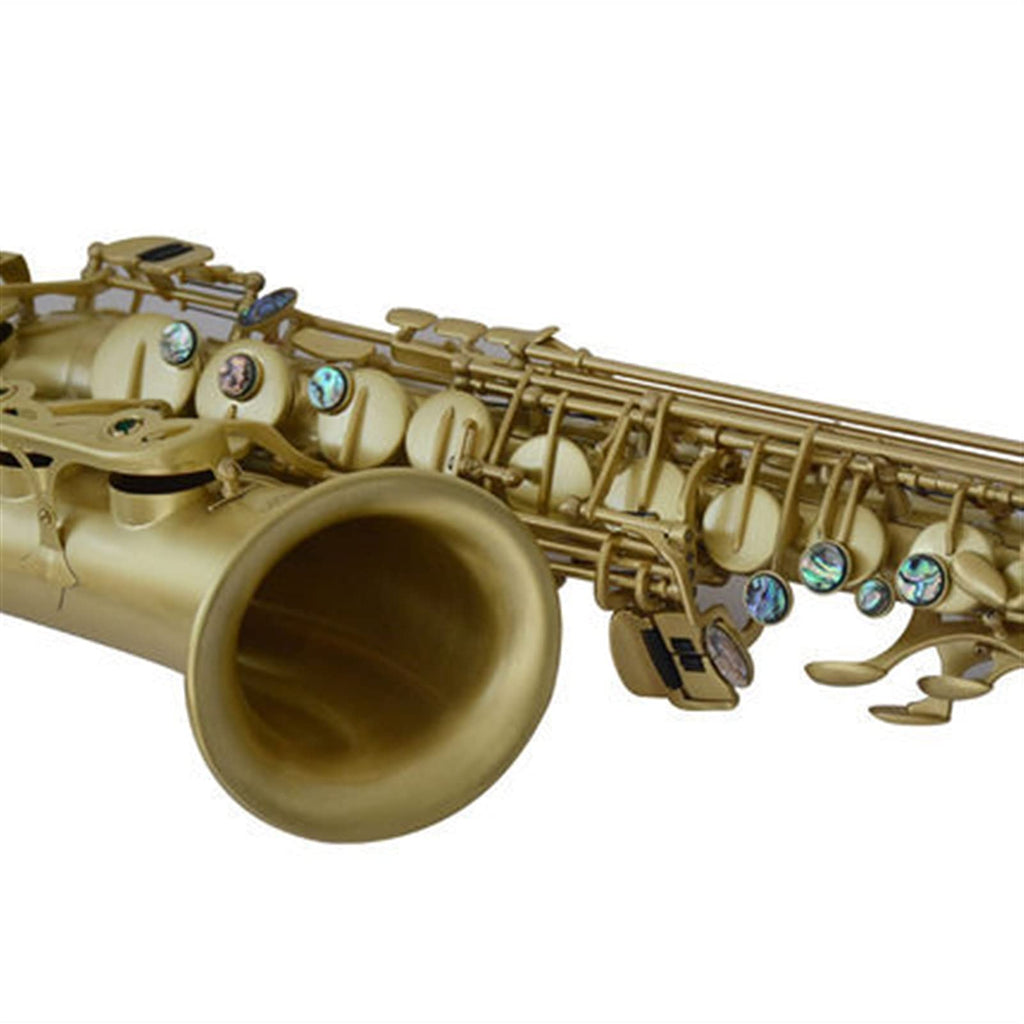 Alto Saxophone in E-Flat Saxophone Set S3185
