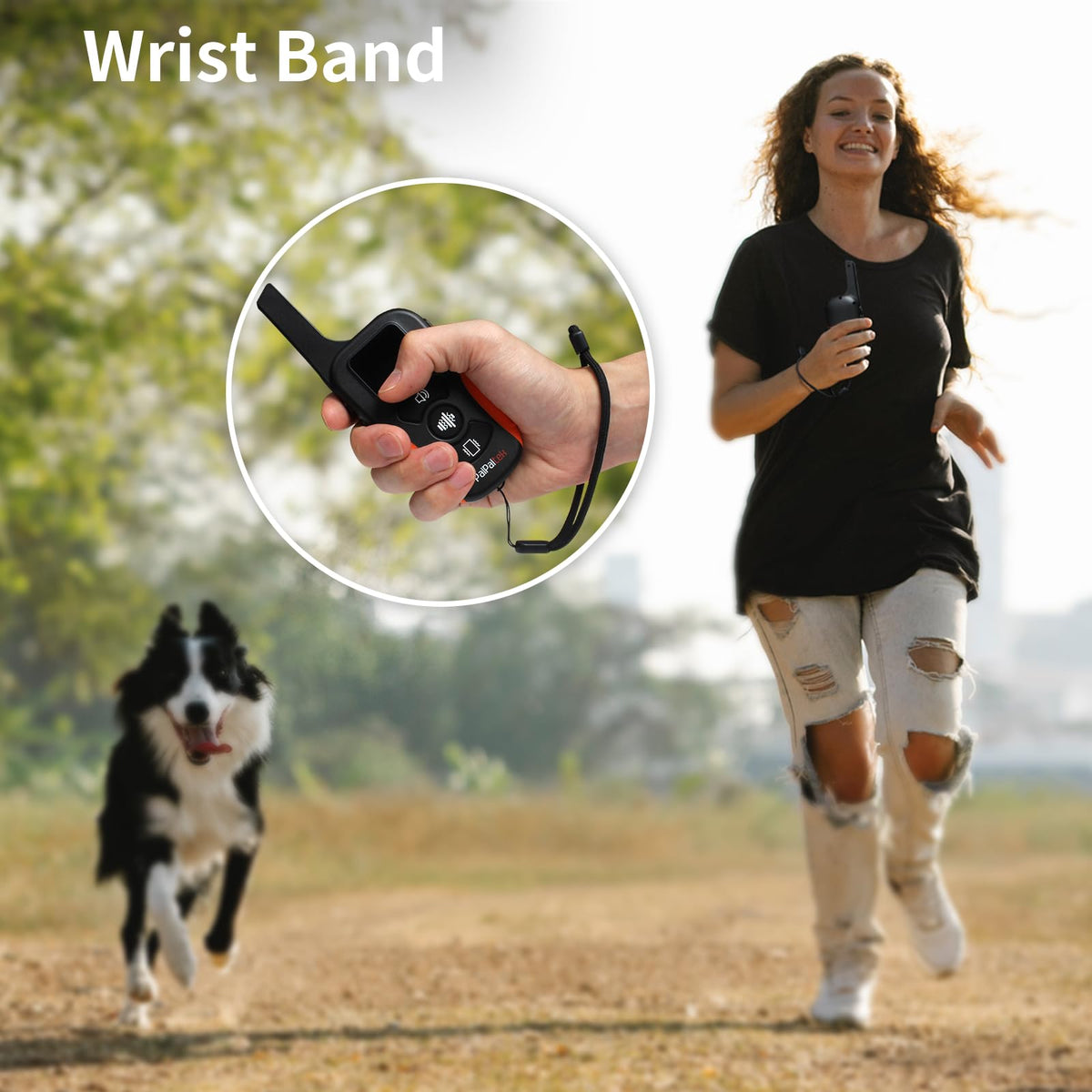 Vibration Dog Collar with Controller E82994