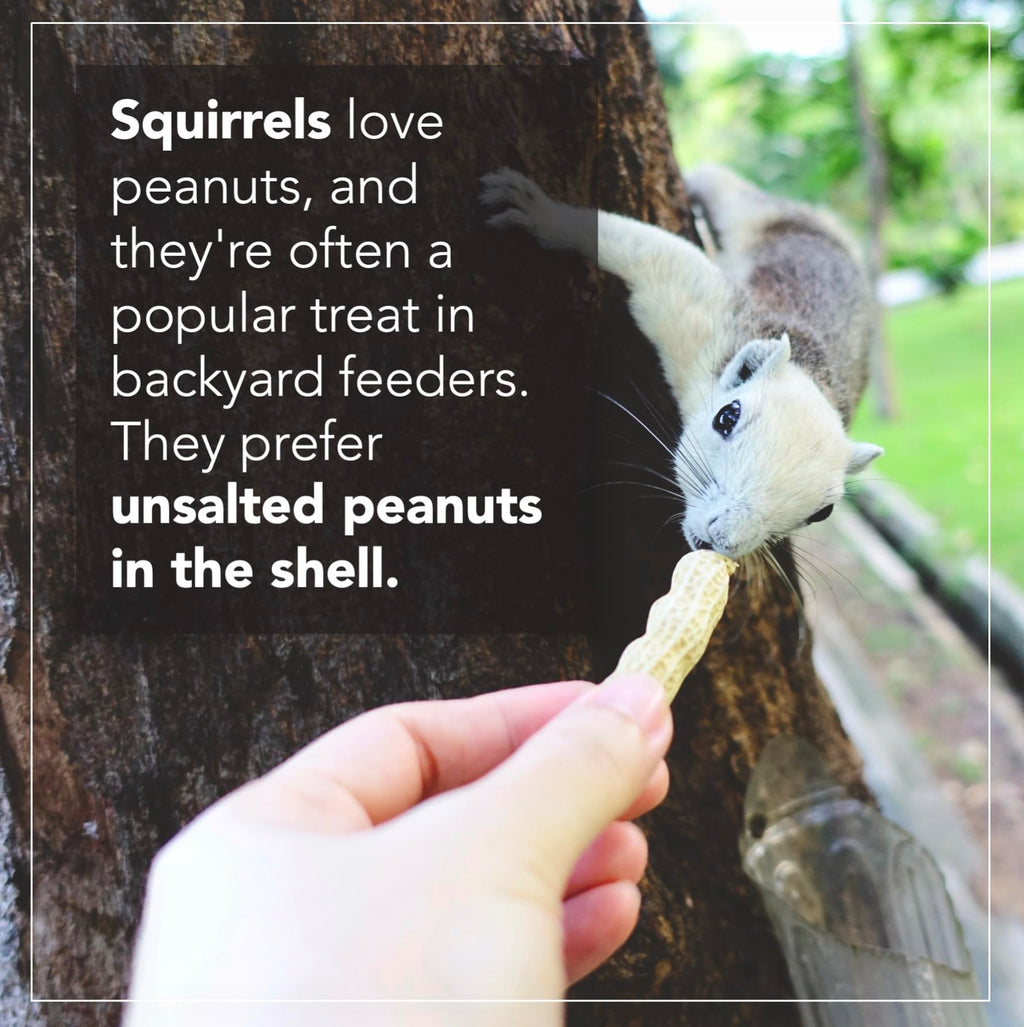 Raw Peanuts 25 LBS S138
