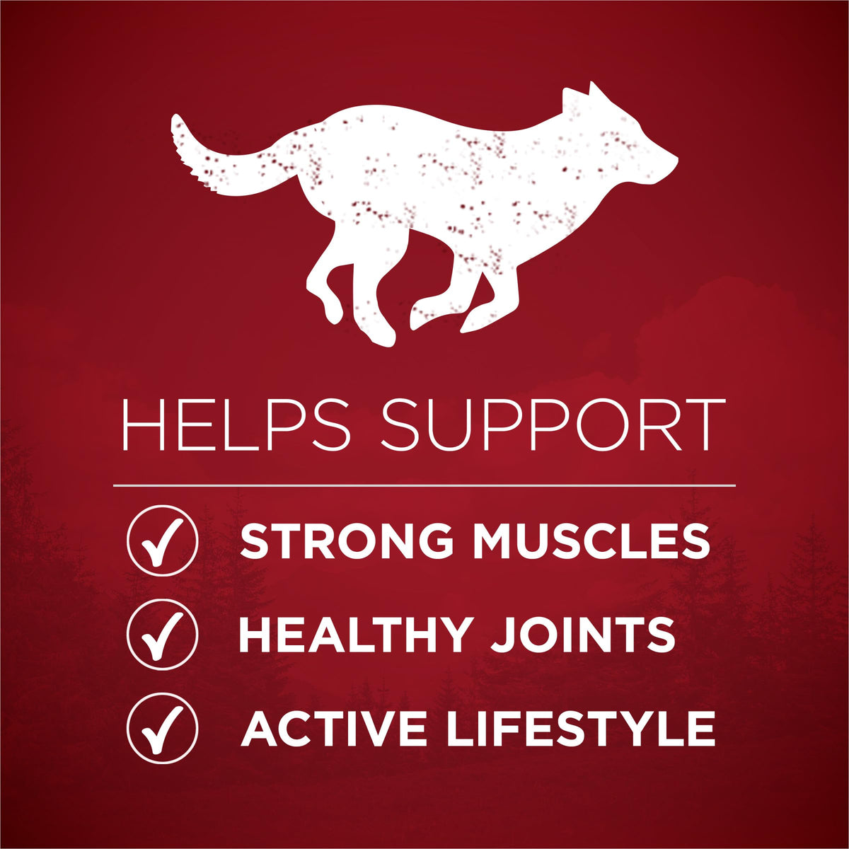 High Protein Chicken & Duck Dog Food O334
