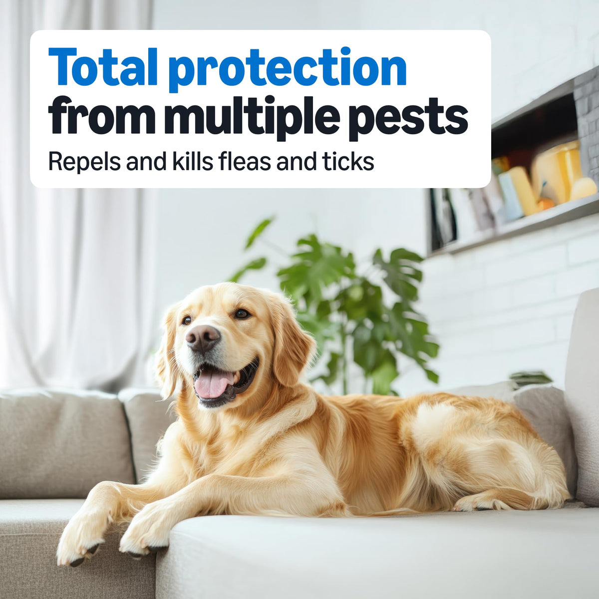 Flea and Tick Topical Treatment for Medium Dogs 3 Count Q74939