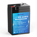 6.4V 4.6Ah LiFePO4 Battery F3098