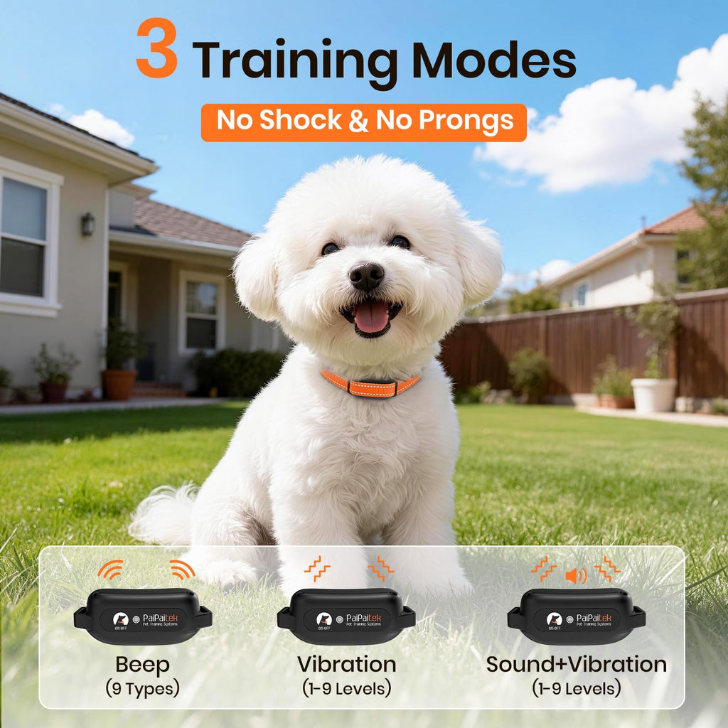 Vibration Dog Collar with Controller E82994