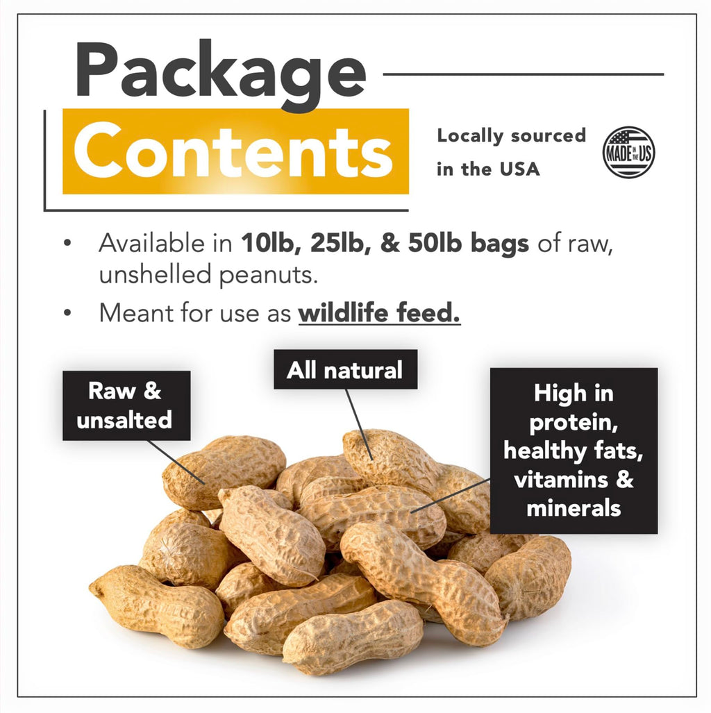 Raw Peanuts 25 LBS S138