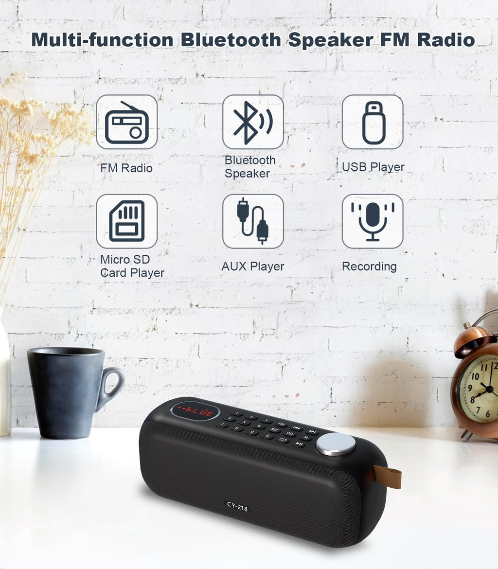 Portable Bluetooth Speaker FM Radio 10W E579