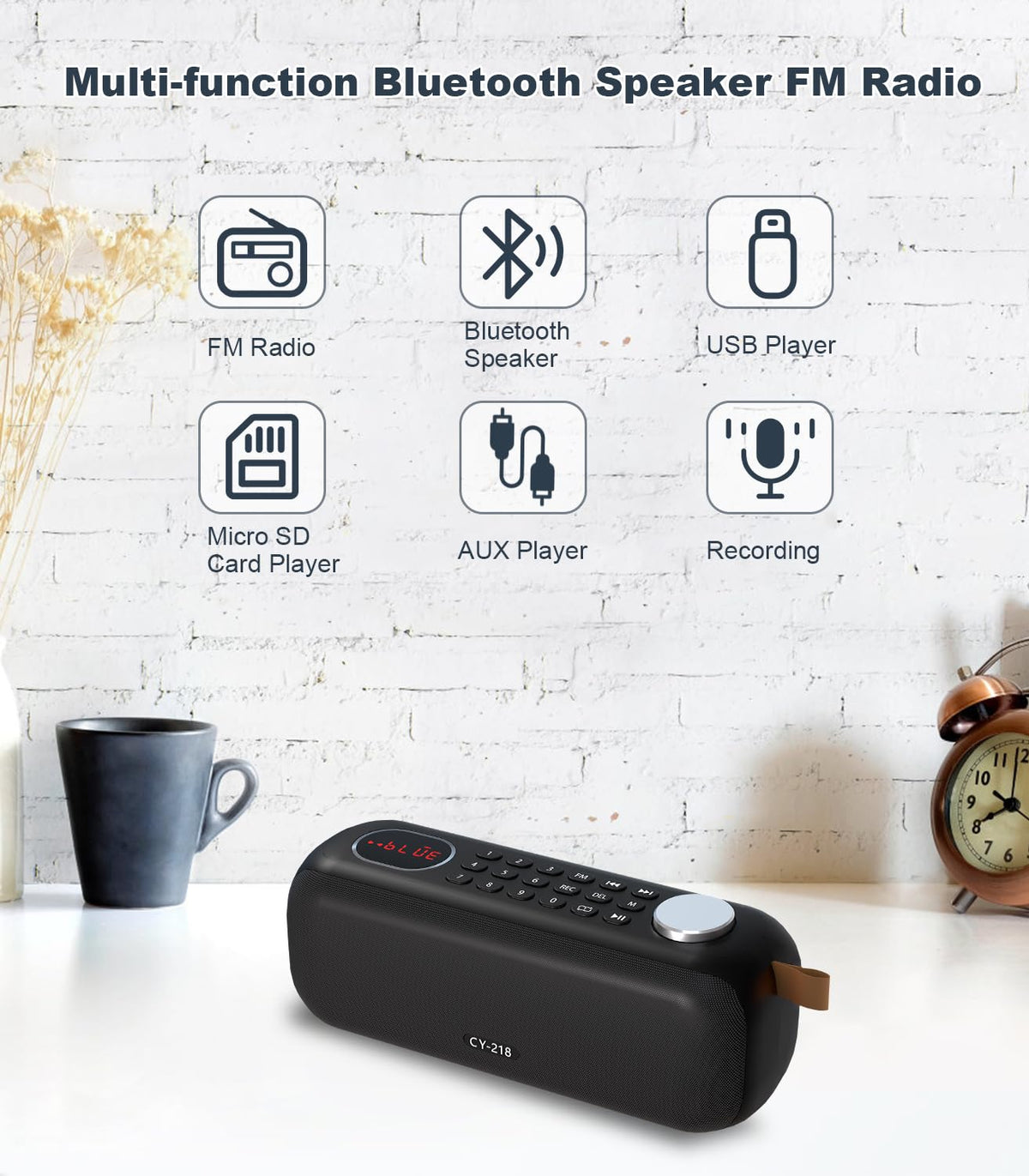 Portable Bluetooth Speaker FM Radio 10W E579
