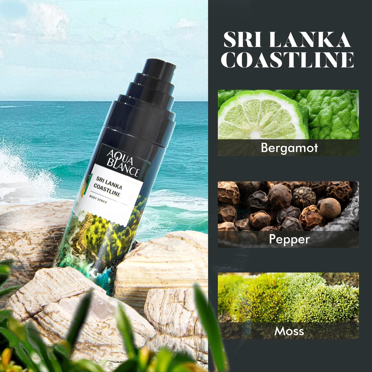 Body Spray for Men 3.4 Fl Oz 3-Pack N497908