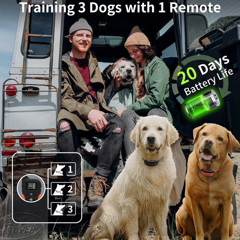 Vibration Dog Collar with Controller E82994