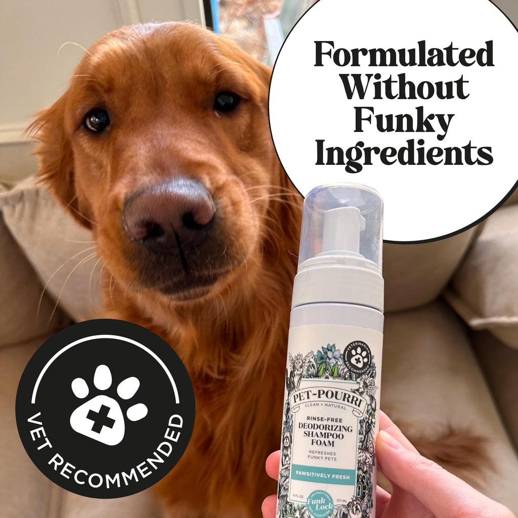 Rinse-Free Deodorizing Dry Shampoo for Dogs & Cats, 6 Fl Oz T724