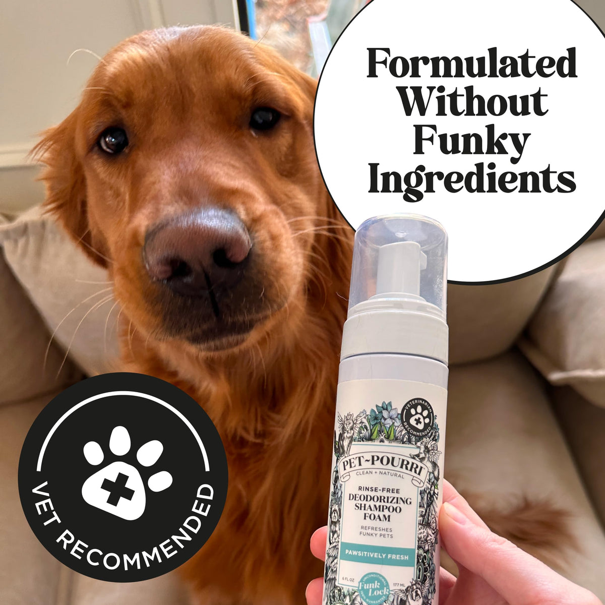 Rinse-Free Deodorizing Dry Shampoo for Dogs & Cats, 6 Fl Oz T724