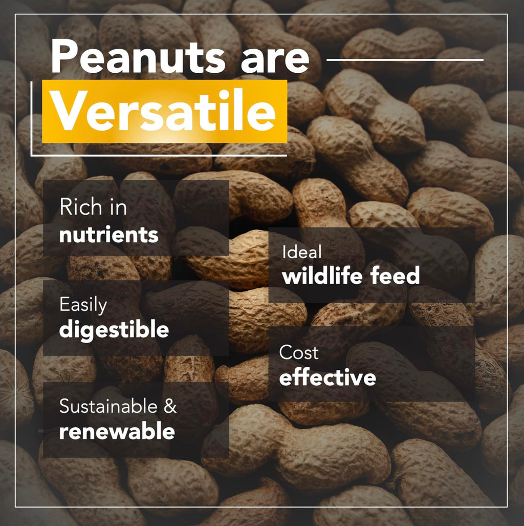 Raw Peanuts 25 LBS S138