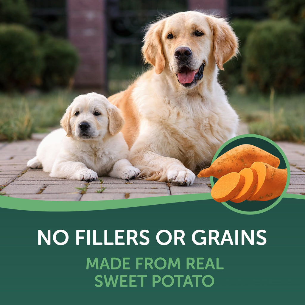 Dried Sweet Potato Slices Dog Treats 16 oz V476339