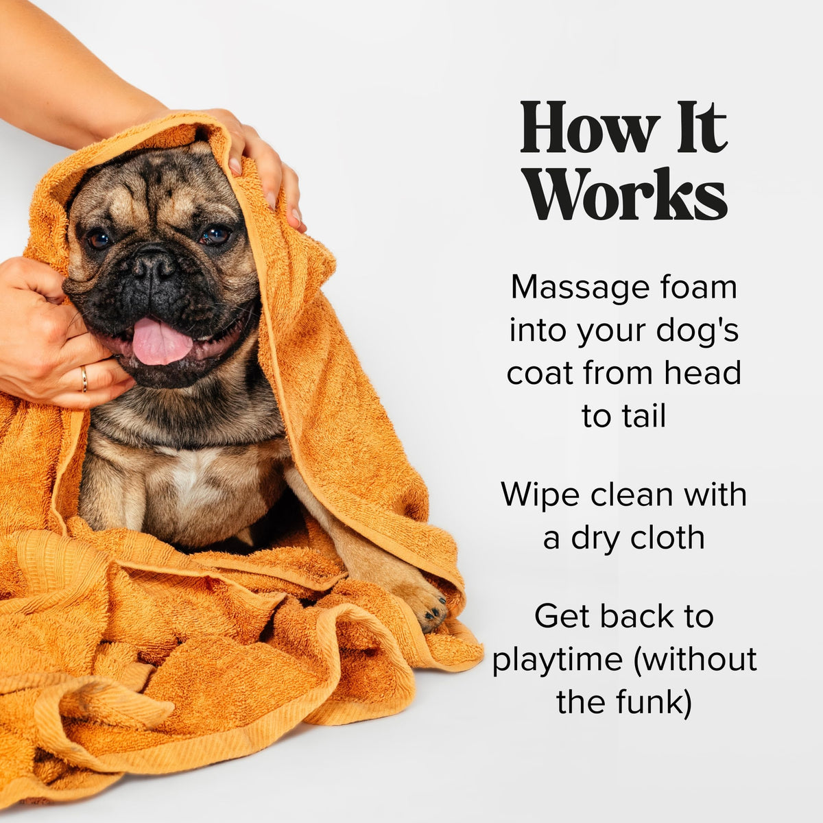 Rinse-Free Deodorizing Dry Shampoo for Dogs & Cats, 6 Fl Oz T724