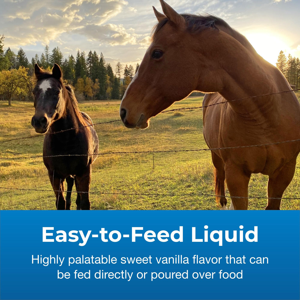 High Calorie Liquid Nutritional Supplement for Livestock 1 Gallon K228340