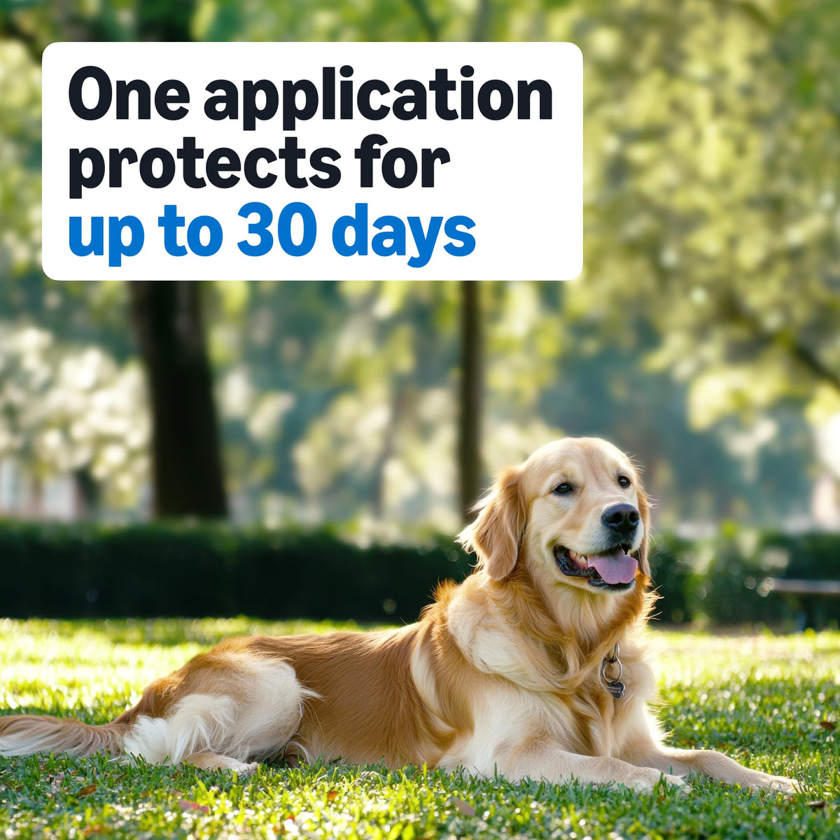 Flea and Tick Topical Treatment for Medium Dogs 3 Count Q74939