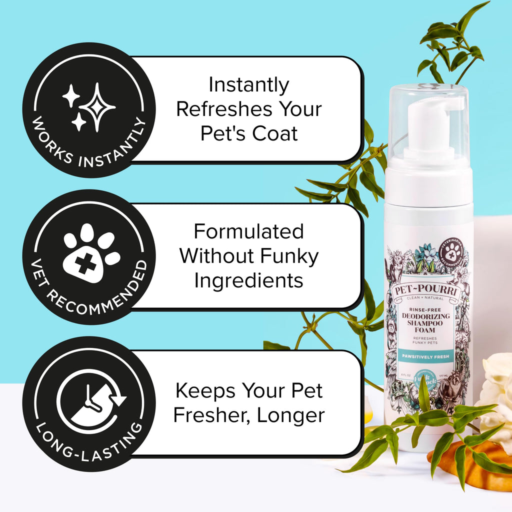 Rinse-Free Deodorizing Dry Shampoo for Dogs & Cats, 6 Fl Oz T724