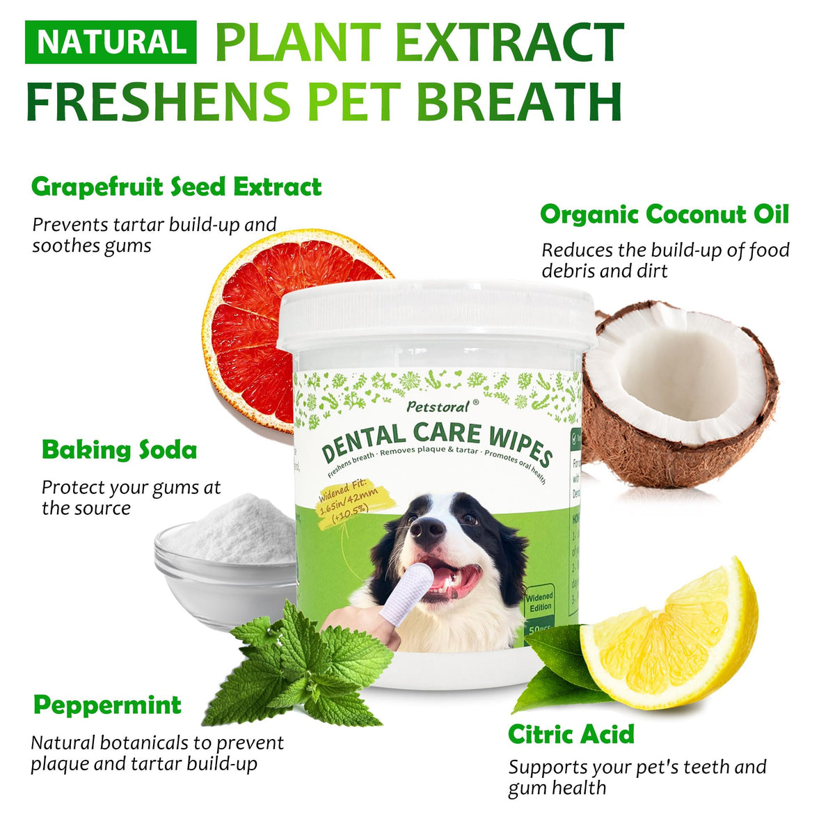 Dental Care Wipes for Dogs and Cats, 50 Count I18831
