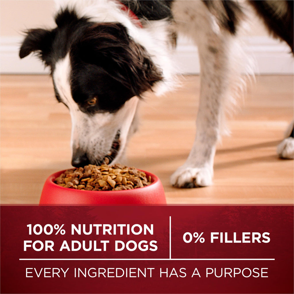 High Protein Chicken & Duck Dog Food O334
