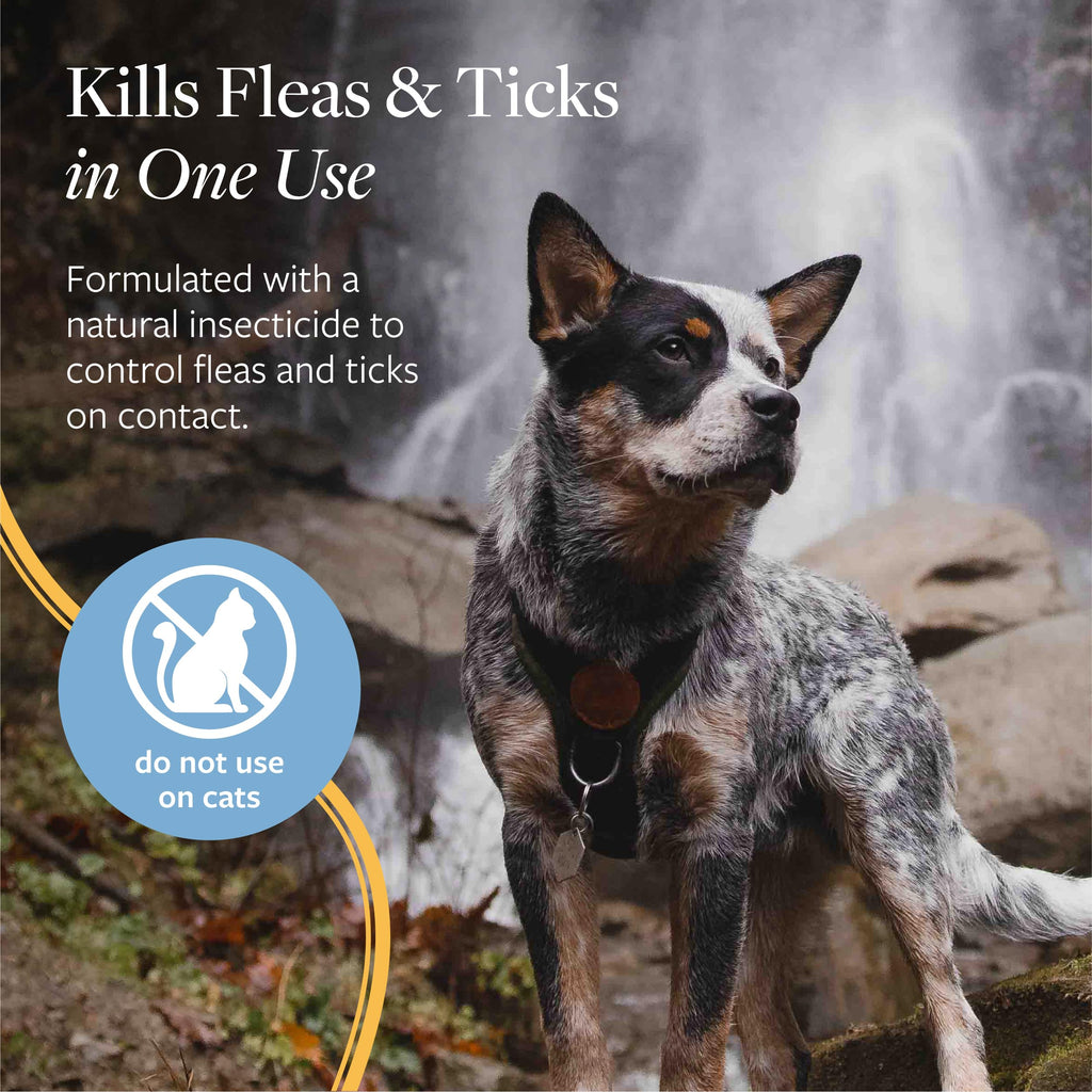 Flea & Tick Spray for Dogs 8 oz M725161