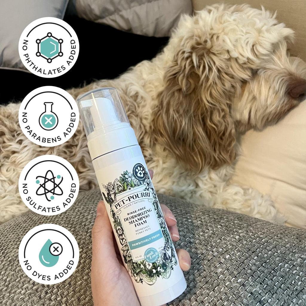 Rinse-Free Deodorizing Dry Shampoo for Dogs & Cats, 6 Fl Oz T724