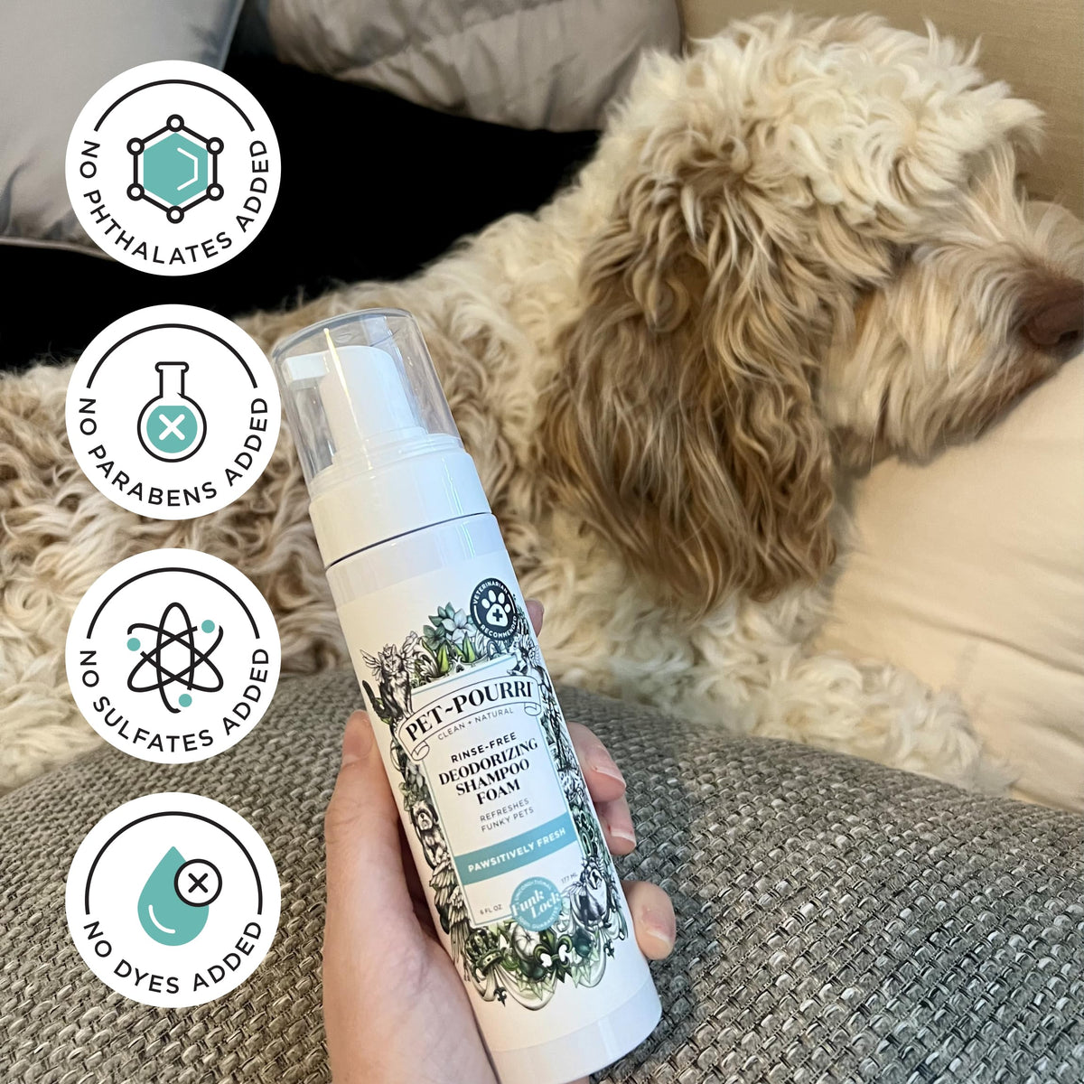 Rinse-Free Deodorizing Dry Shampoo for Dogs & Cats, 6 Fl Oz T724